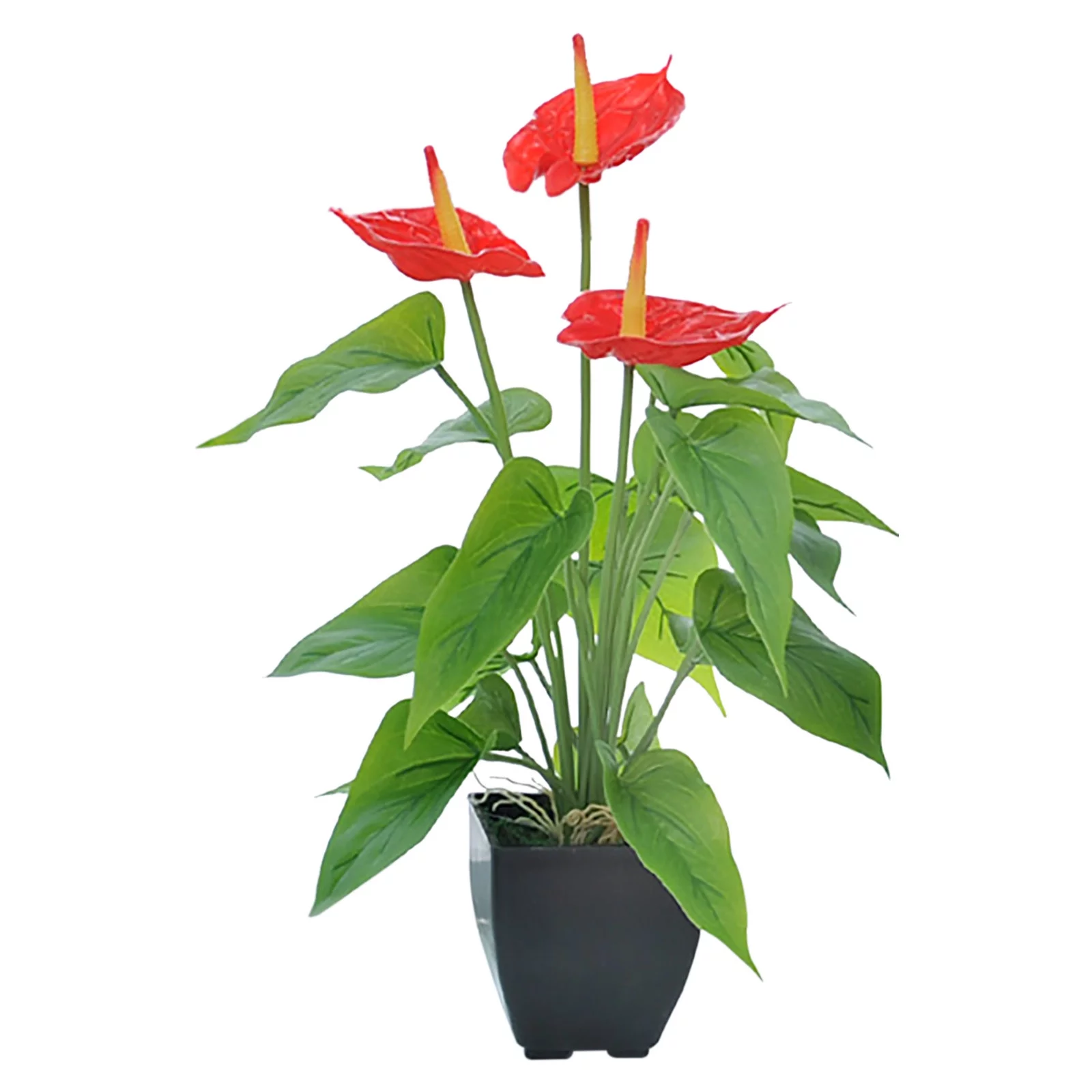 LHWEN Calla Lily Bonsai 45cm Potted Green Plant Interior Decoration Office Wedding Display White and Orange Easy to Maintain Desktop and Home Decoration