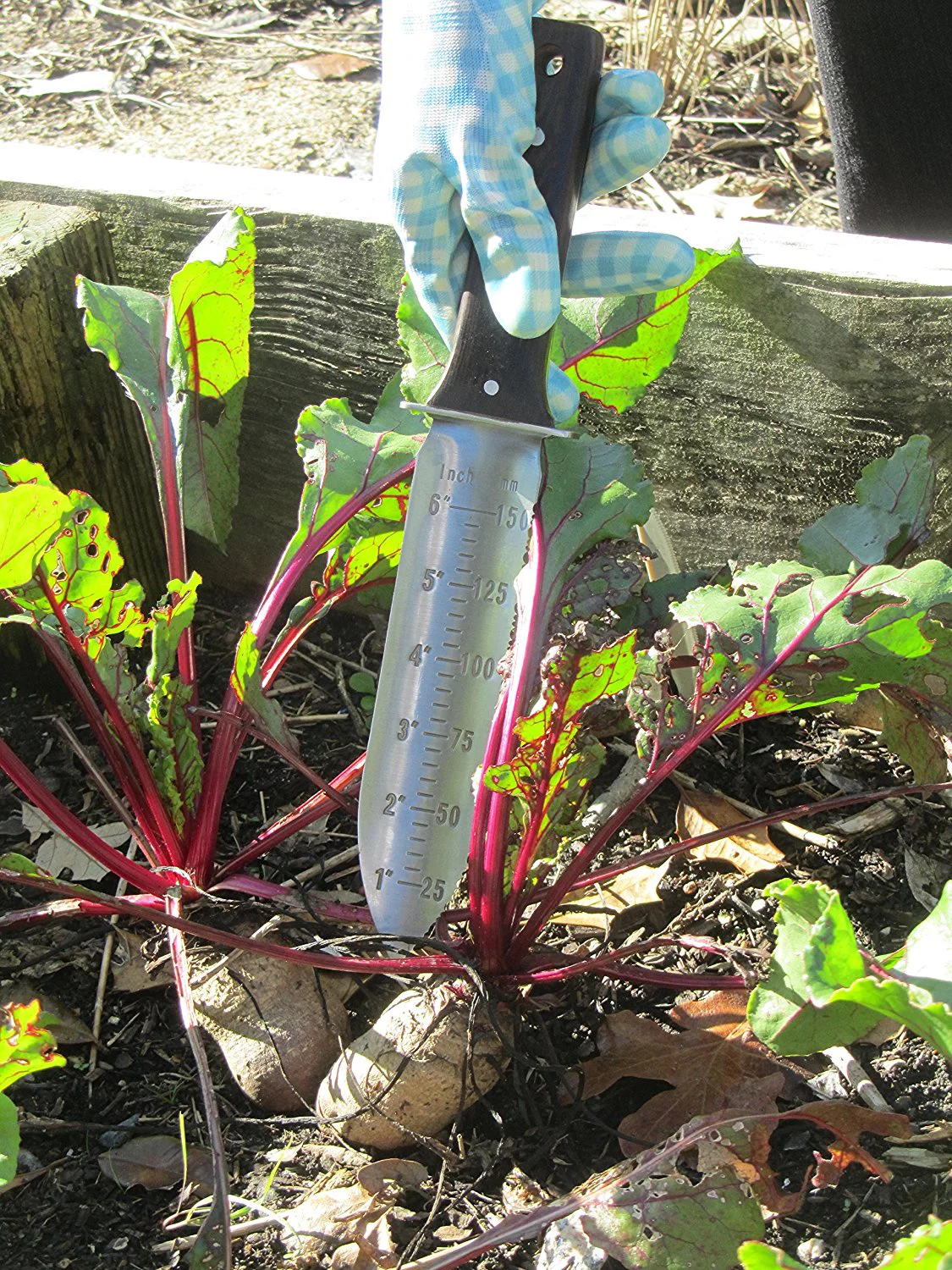 Hori Hori Japanese Garden Knife - SS -  Riveted Leather Sheath - Sharpening Stone - Riverview Enterprise