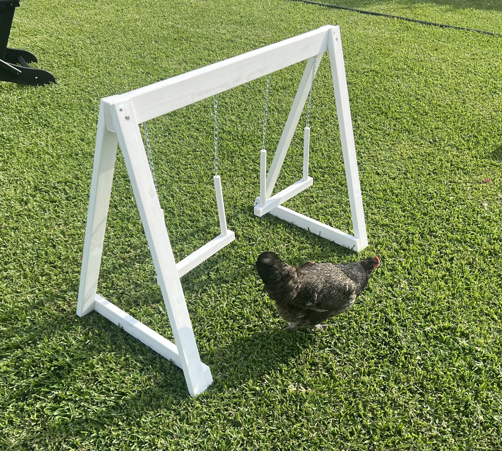 Zylina Play-N-Roost Double Swing