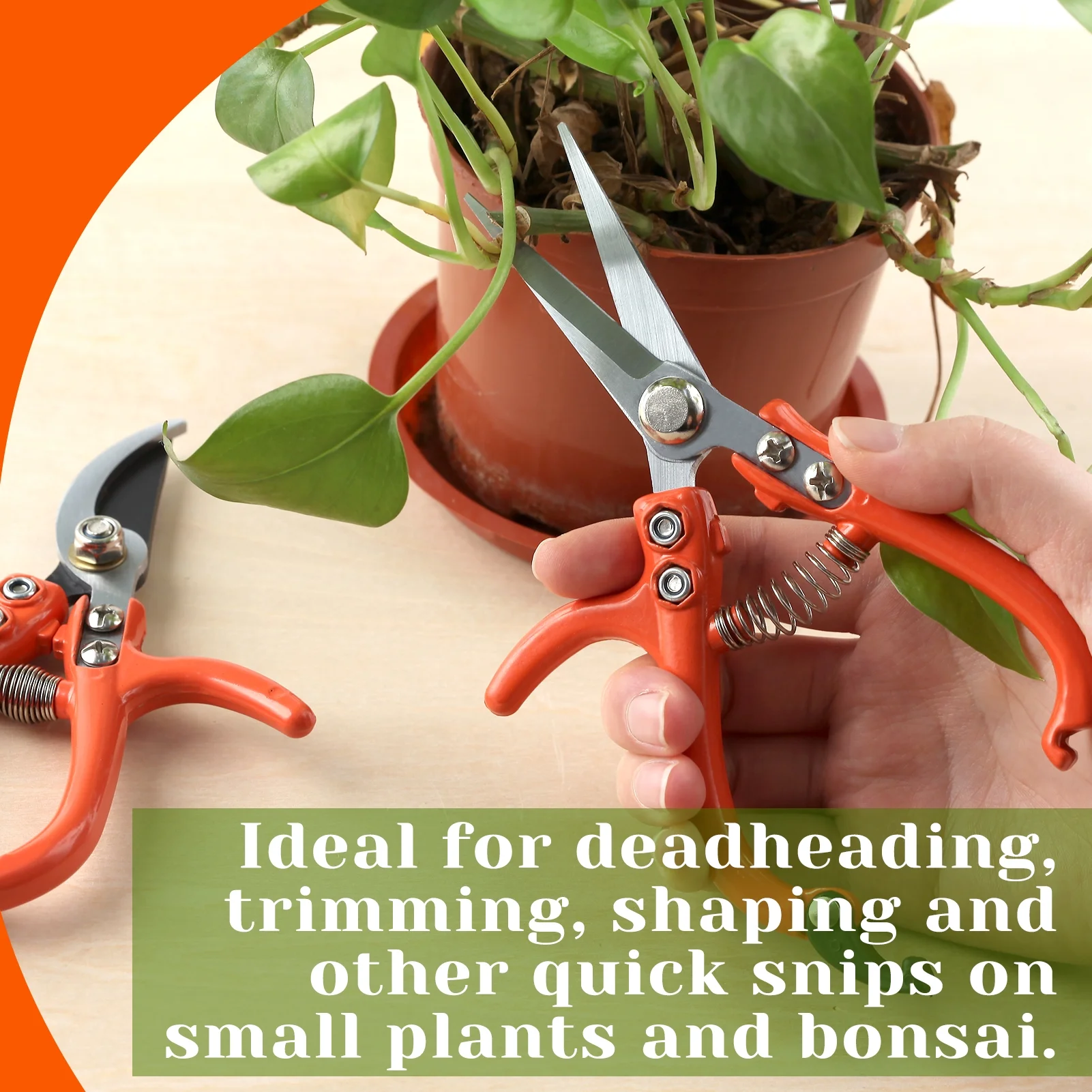 SPEEDWOX Pruning Shears for Gardening Bypass Pruning Shears Gardening Shears Modern Sprout Gardening Pruners Garden Trimming Scissors Plant Pruning Shears 2 - pack Q-yard Pruning Shear Bonsai Scissors