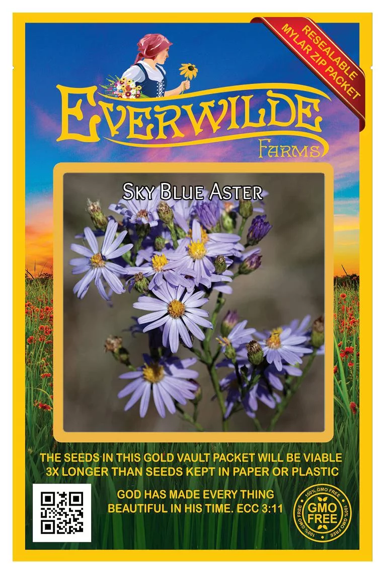 Everwilde Farms - 500 Sky Blue Aster Native Wildflower Seeds - Gold Vault Jumbo Bulk Seed Packet