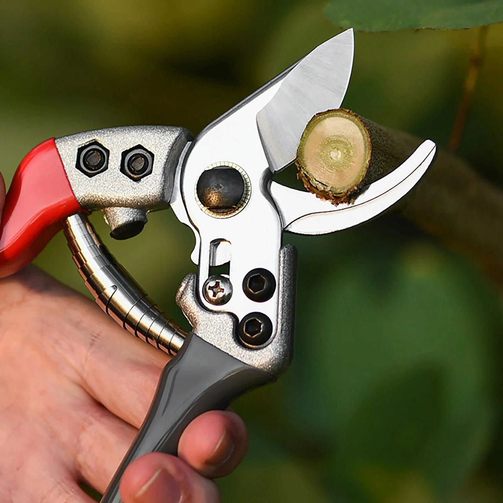 Pruning Scissors Flower Scissors Gardening Scissors Flower Art Pruning Branch Scissors Fruit Tree Cut Flower Branch Scissors Pruning Thick Branches Labor Saving Teacher Toolbox Saw Set Dcs356 D8 Smart