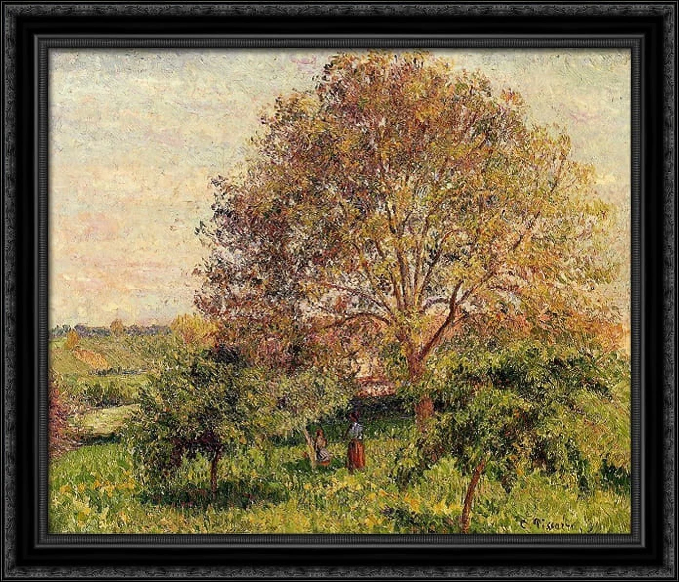 Walnut Tree in Spring 34x28 Large Black Ornate Wood Framed Canvas Art by Camille Pissarro