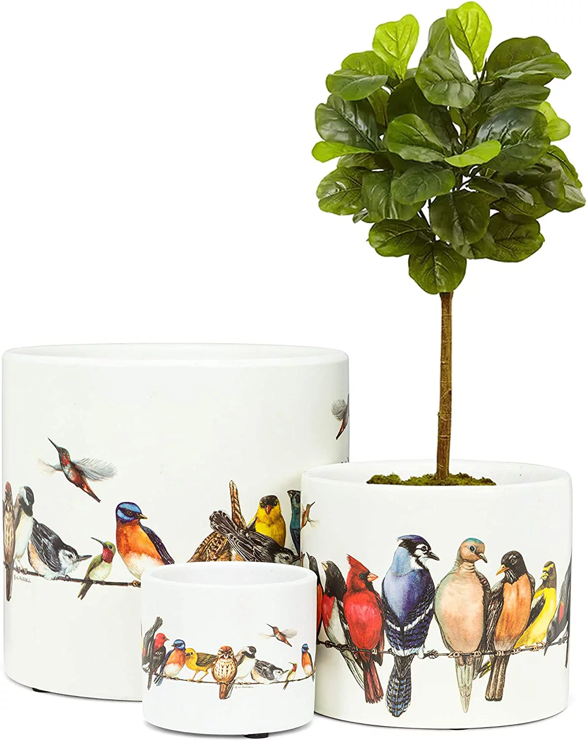 Abbott Collection  3 in. Birds on Wire Planter, Multi - Extra Small