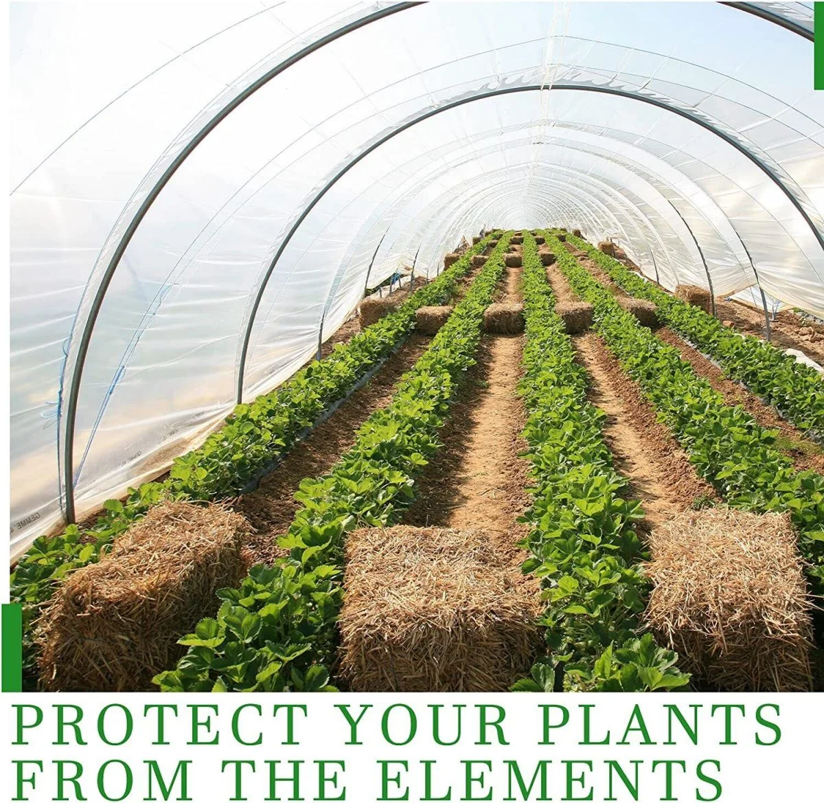 WSYW 6 Mil Clear Greenhouse Poly Film Plastic Sheeting 13-30ft Width x Various Length Control