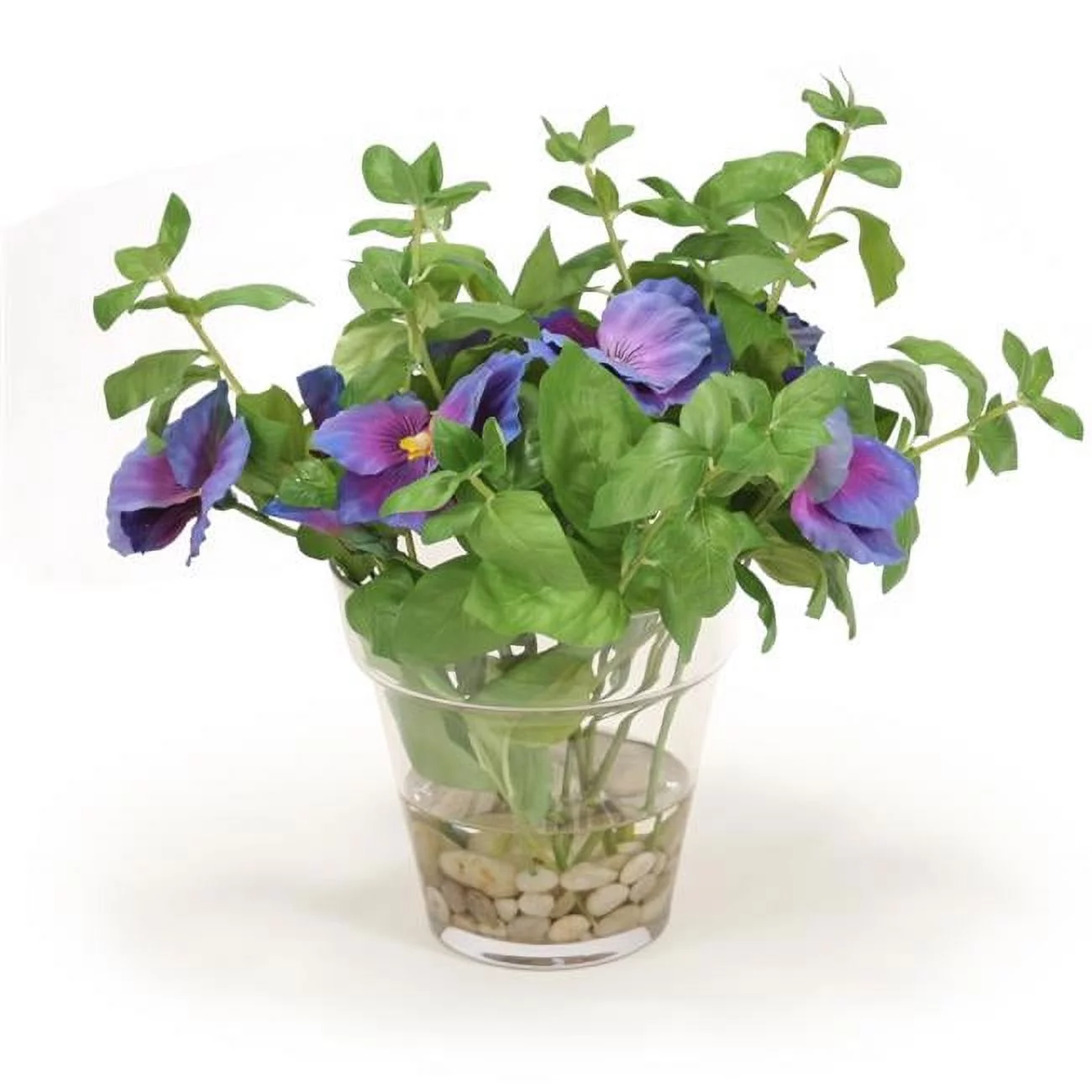 Unisex Pansies in Glass Flower Pot - Green