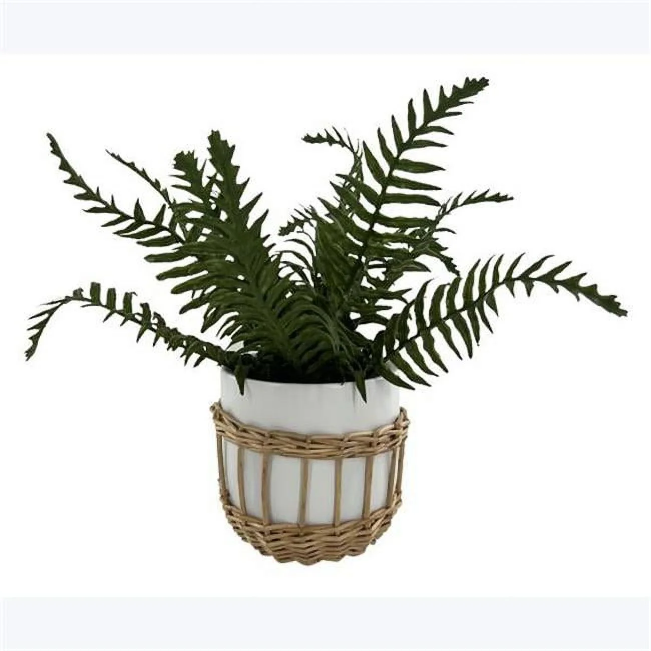 14 in. Artificial Fern in Ceramic Pot with Basket Cover