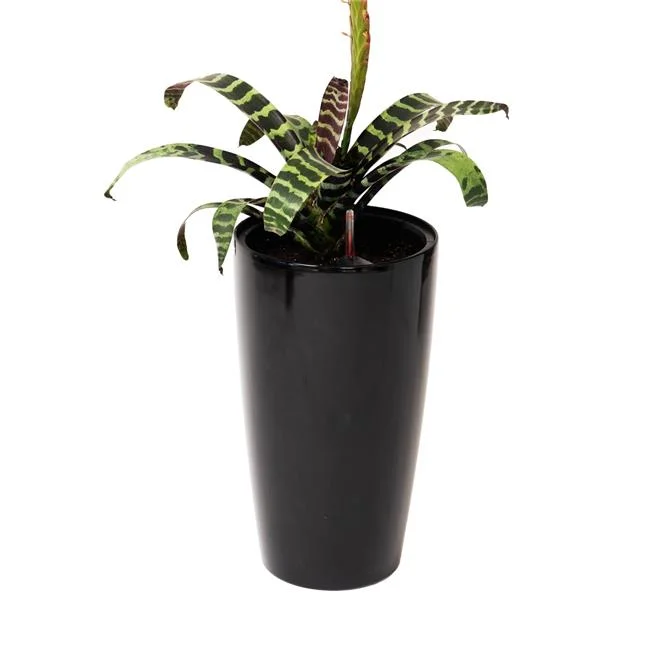 21' H Black Plastic Self Watering Indoor Outdoor Tall Round Planter Pot w/Glossy Finish, Decorative Gardening Pot