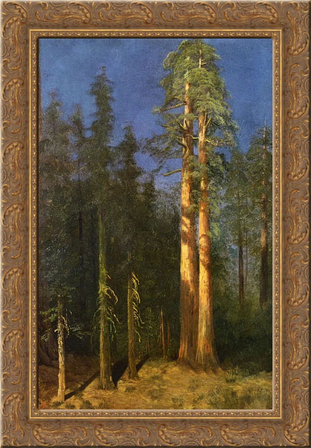 California Redwoods 20x24 Gold Ornate Wood Framed Canvas Art by Bierstadt, Albert
