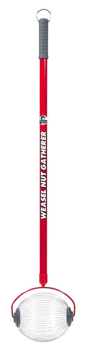 Garden Weasel Nut Gatherer, Medium