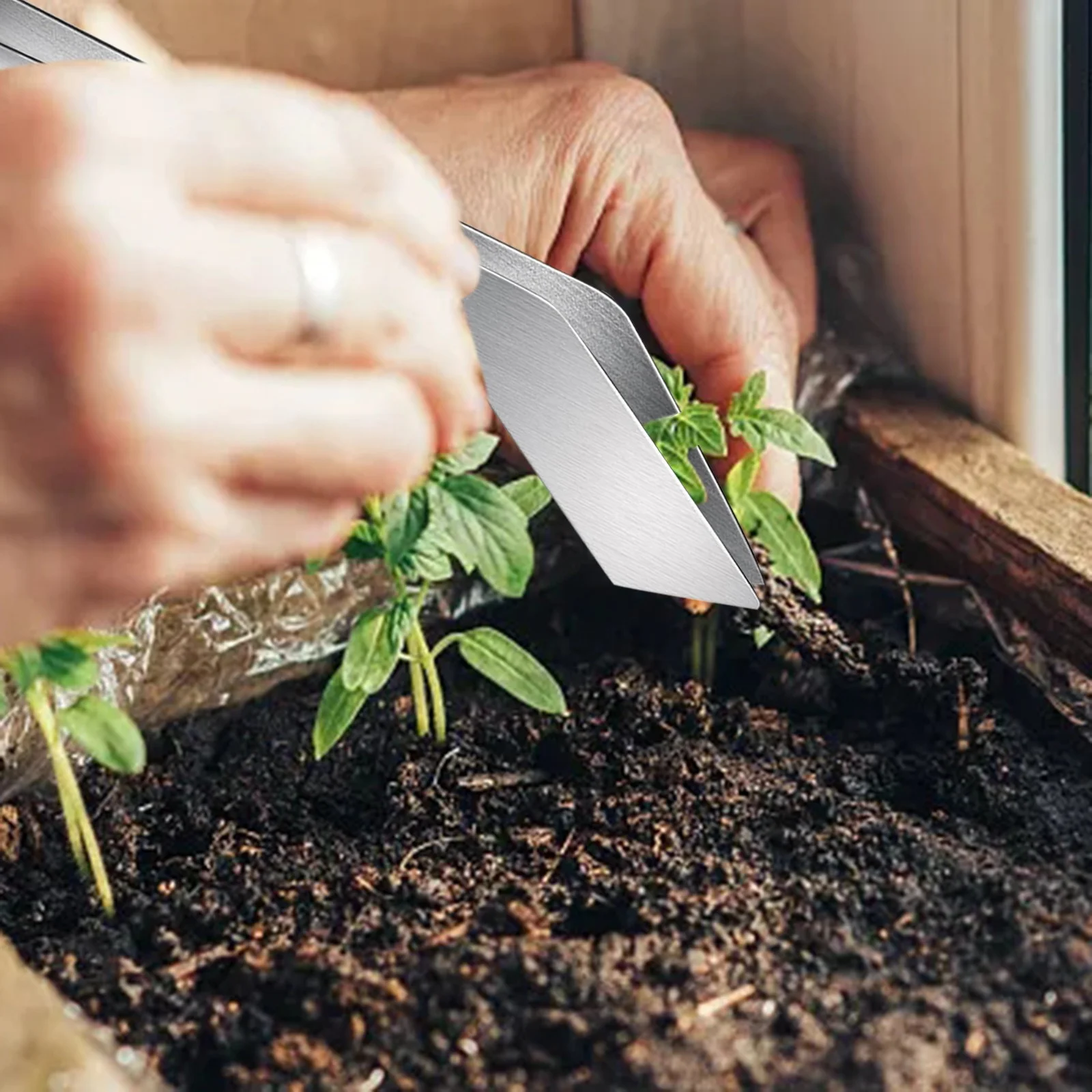 MVNSFEW Shade Savant Grass Seedling Transplant Tongs Stainless Steel Gardening Transplant Tongs Seedling Transplant Pliers for Reducing Root Damage Two Size