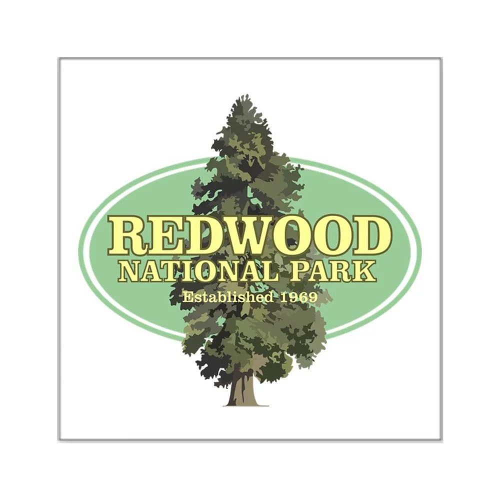 CafePress - Redwood National Park Sticker - Square Sticker 3
