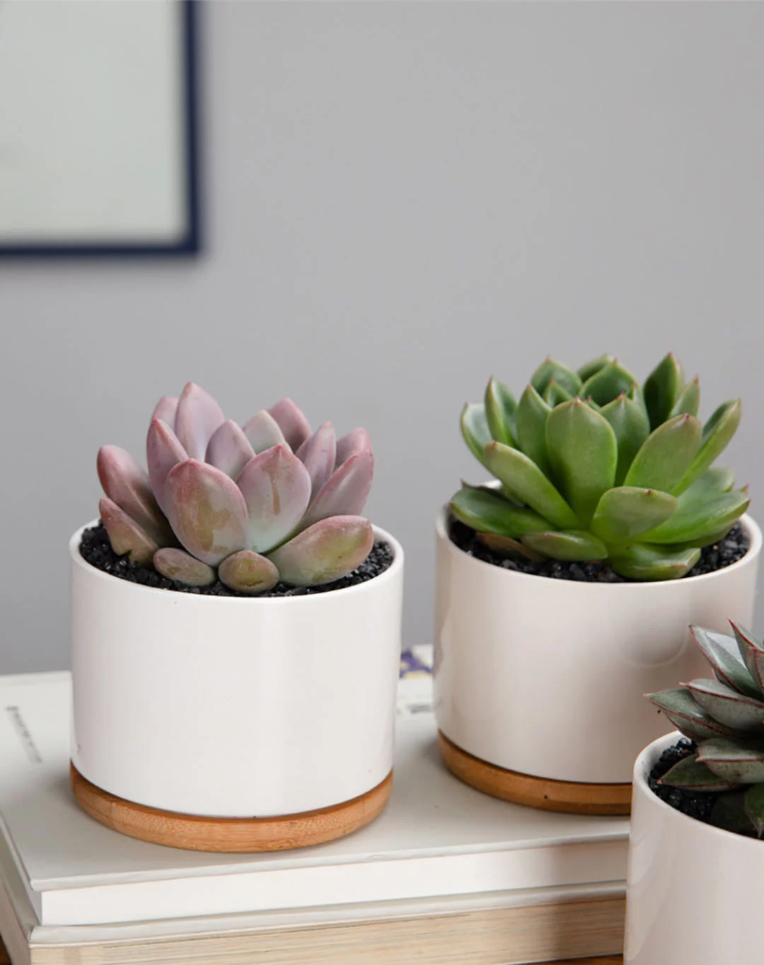 Succulent Pots,White Mini 3.15 inch Ceramic Flower Planter Pot with Bamboo Tray, Pack of 6 - Plants Not Included