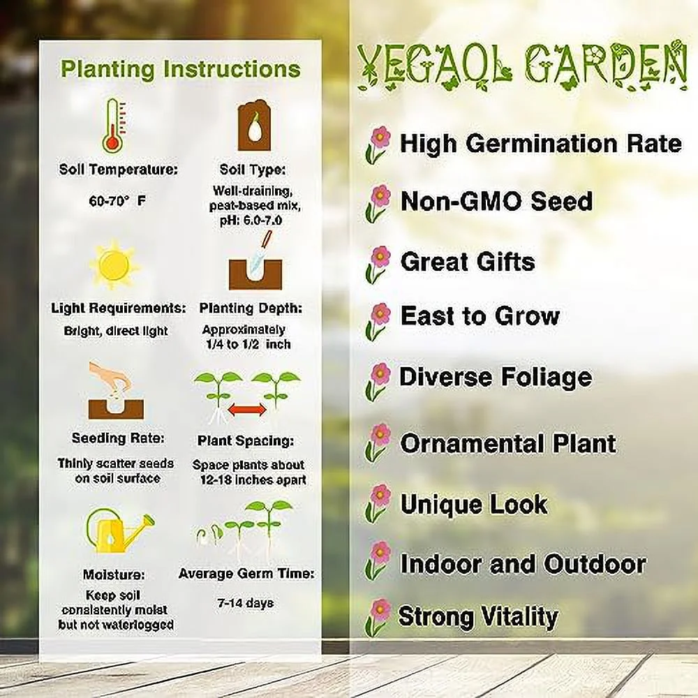 500Pcs Rocket Larkspur Light Blue Seeds Consolida Ajacis Cut Flowers Gift Non-GMO & Heirloom Beautiful Flower to Plant in Your Home Garden by YEGAOL Garden