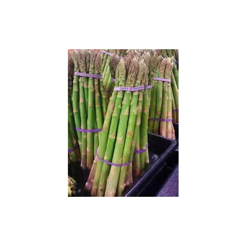 Asparagus UC 157 F2 Hybrid Great Vegetable by Seed Kingdom 300 Seeds