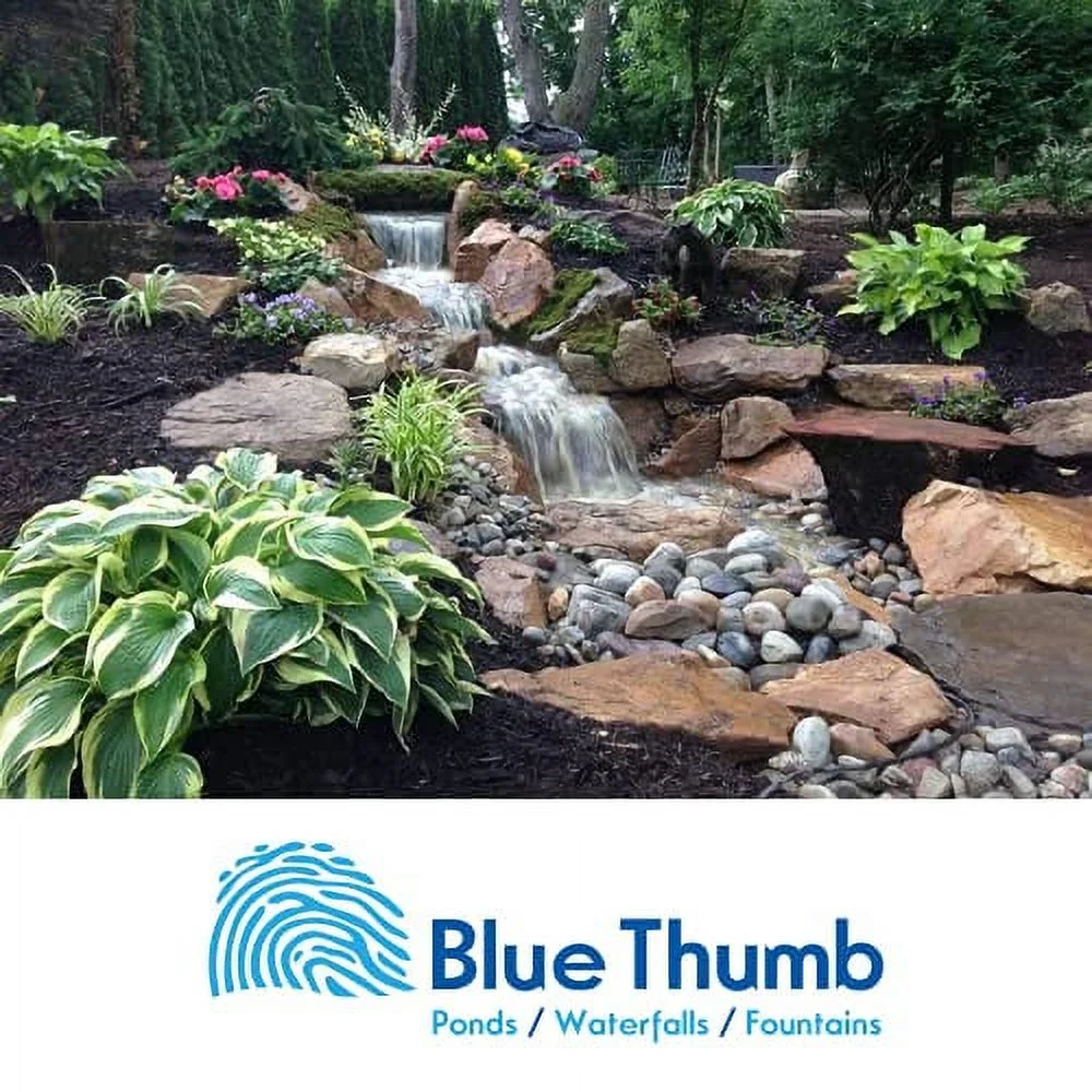 Pond Cleaner, Dry Natural Bacteria, Perfect for Pond and Water Gardens, 2 lb.