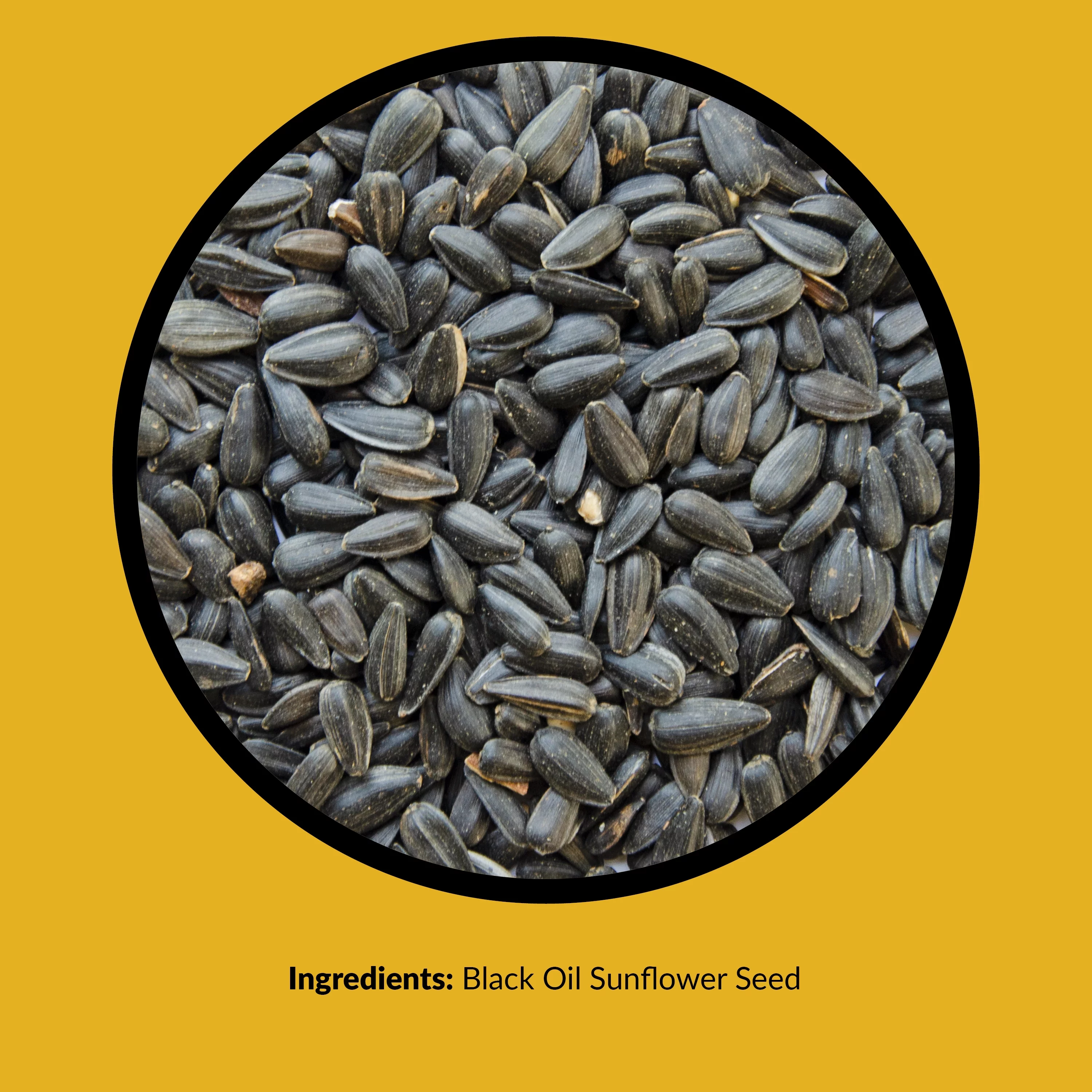 Lyric Black Oil Sunflower Seeds - 5 lb. Bag