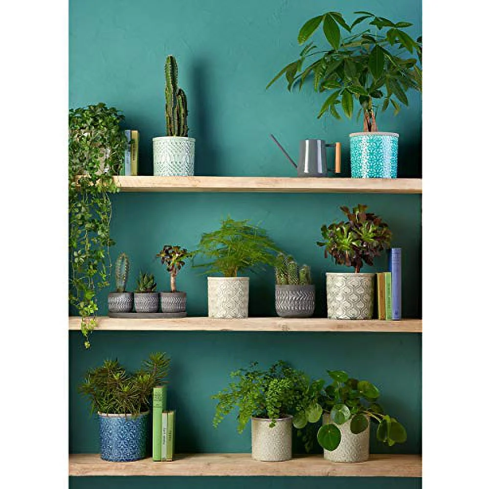 Burgon & Ball Indoor Watering Can, 0.7 Litre Capacity, Charcoal Grey