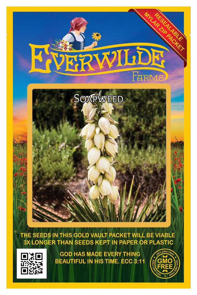 Everwilde Farms - 50 Soapweed Native Wildflower Seeds - Gold Vault Jumbo Bulk Seed Packet