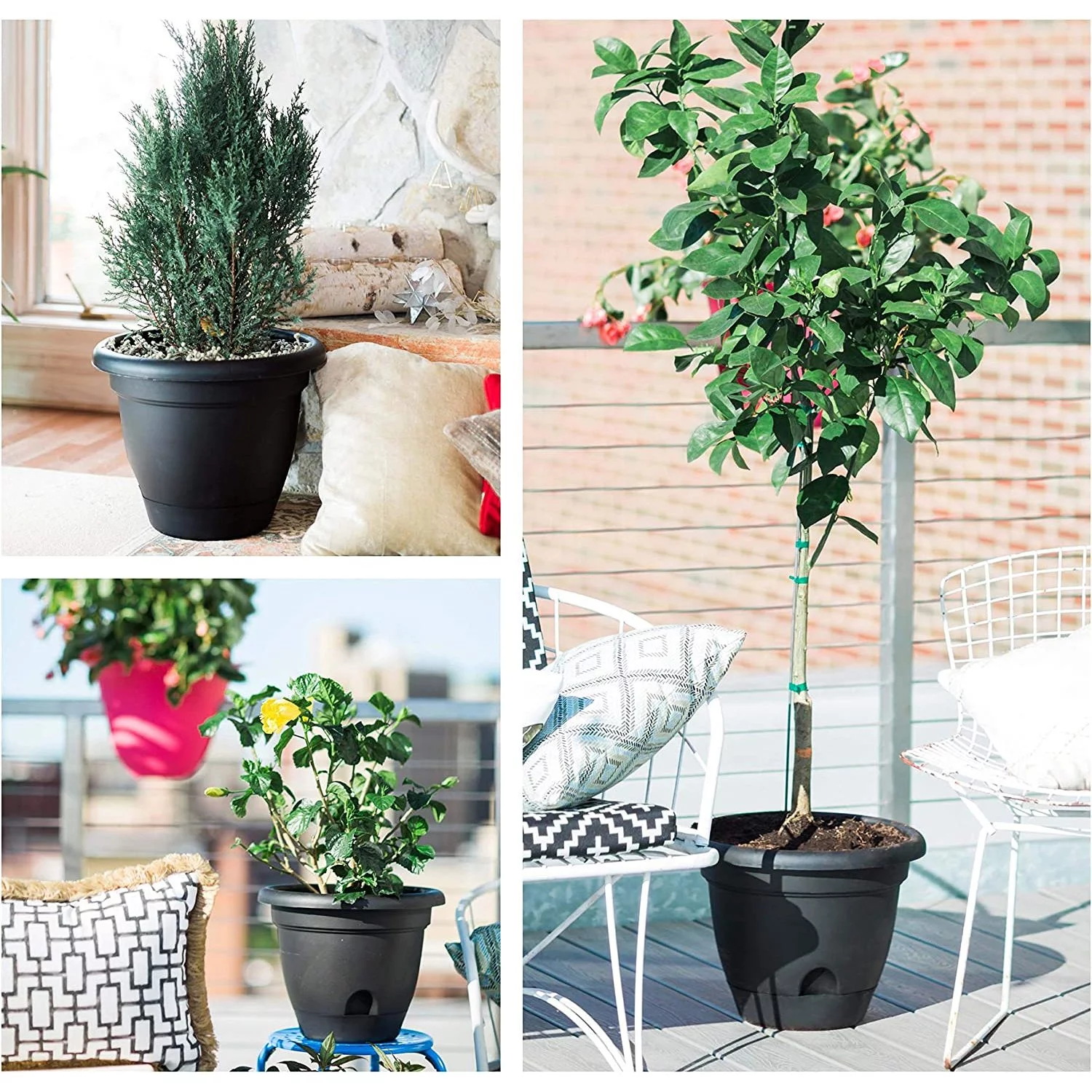 WJUN Lucca Self Watering Planter w/Saucer (LP1400), Black, 14