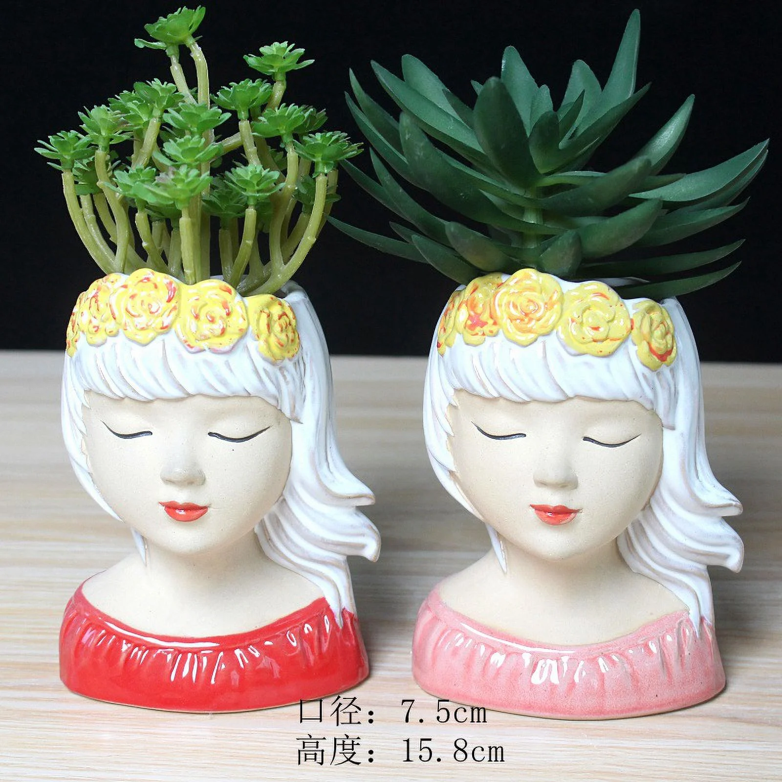 Hand-painted Ceramic Succulent Planter - Emotionally Stable Beauty Flower Pot