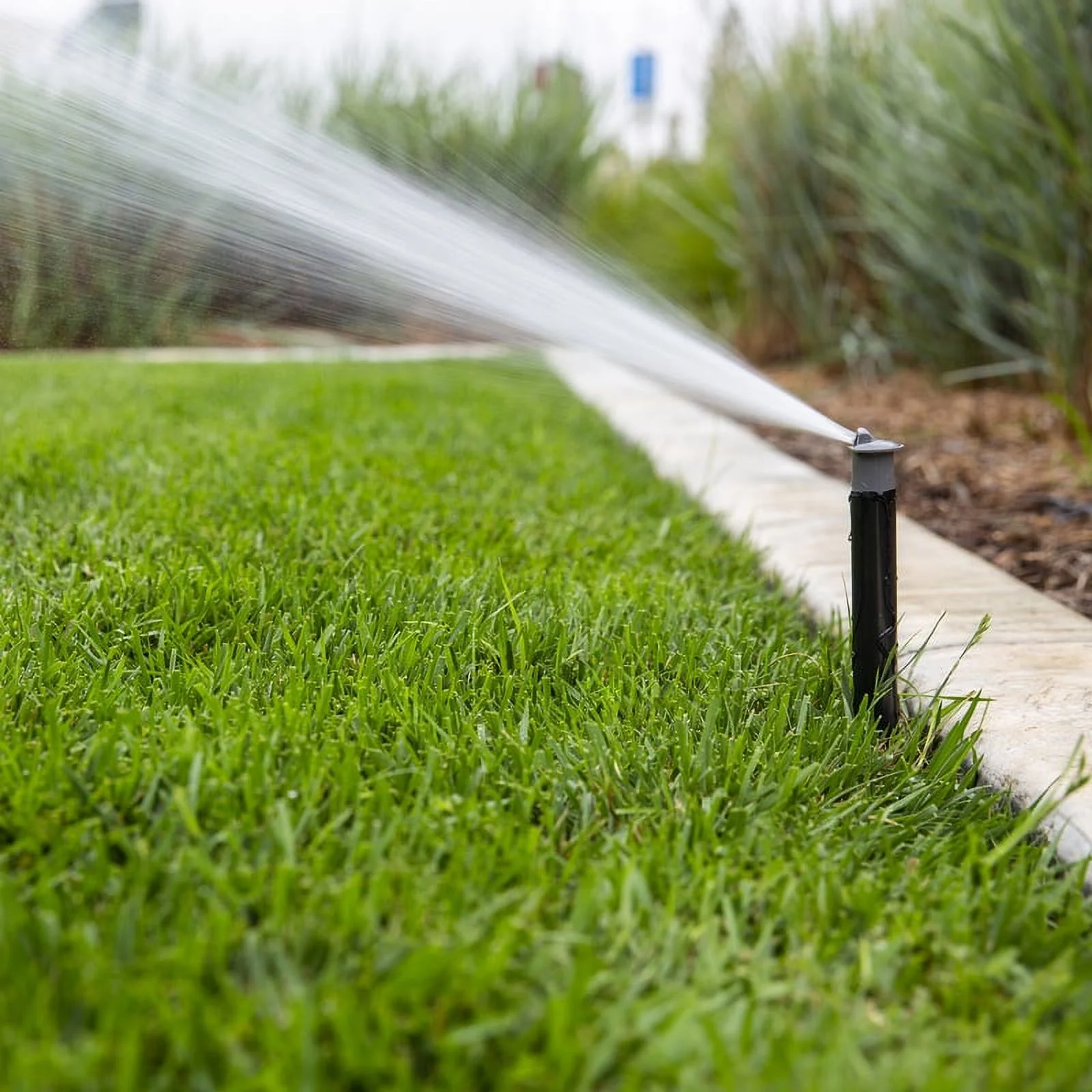 Hunter PROS06 Pro-Spray Pop-Up Sprinkler, Black