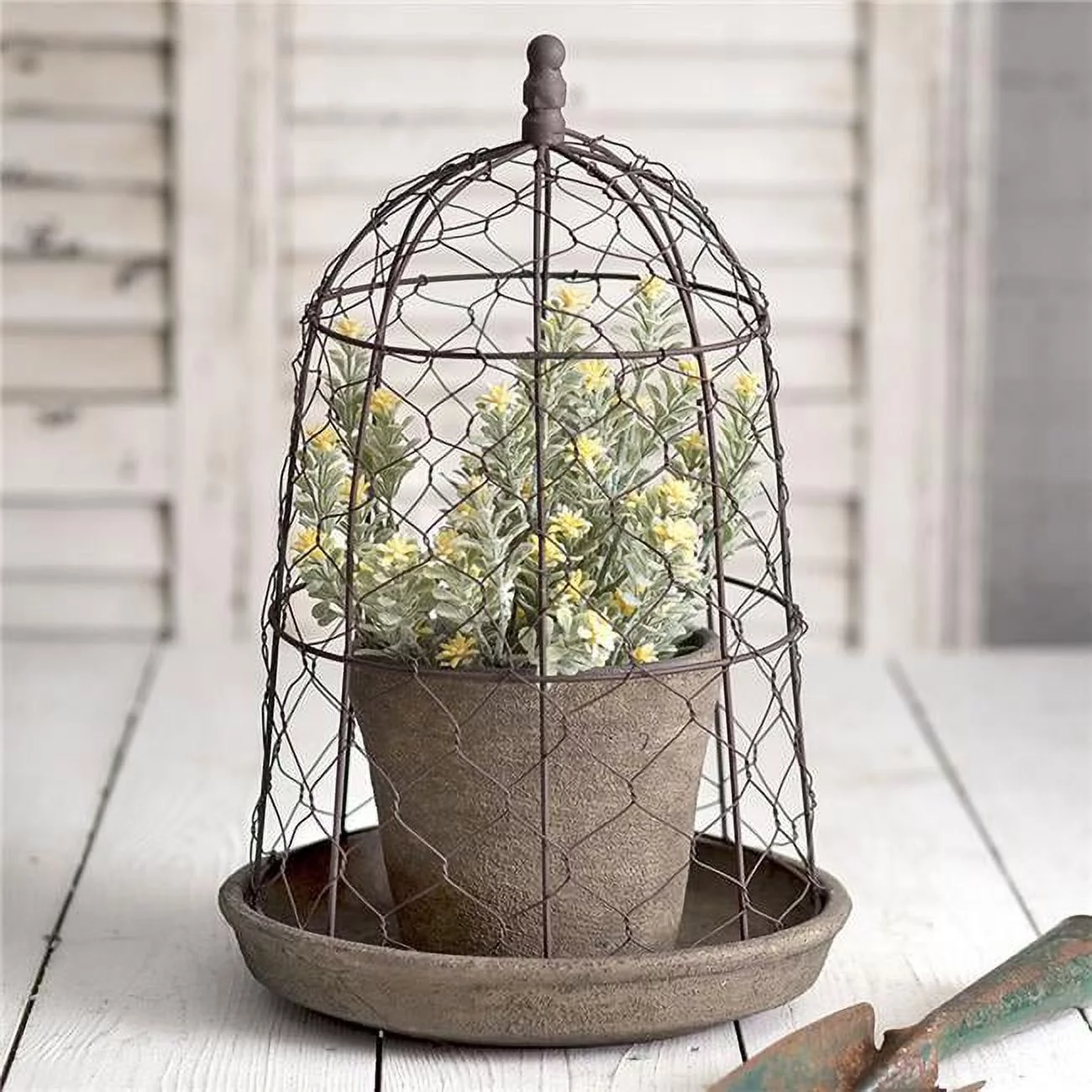 CTW Home 840122 Tall Chicken Wire Cloche with Terra Cotta Pot