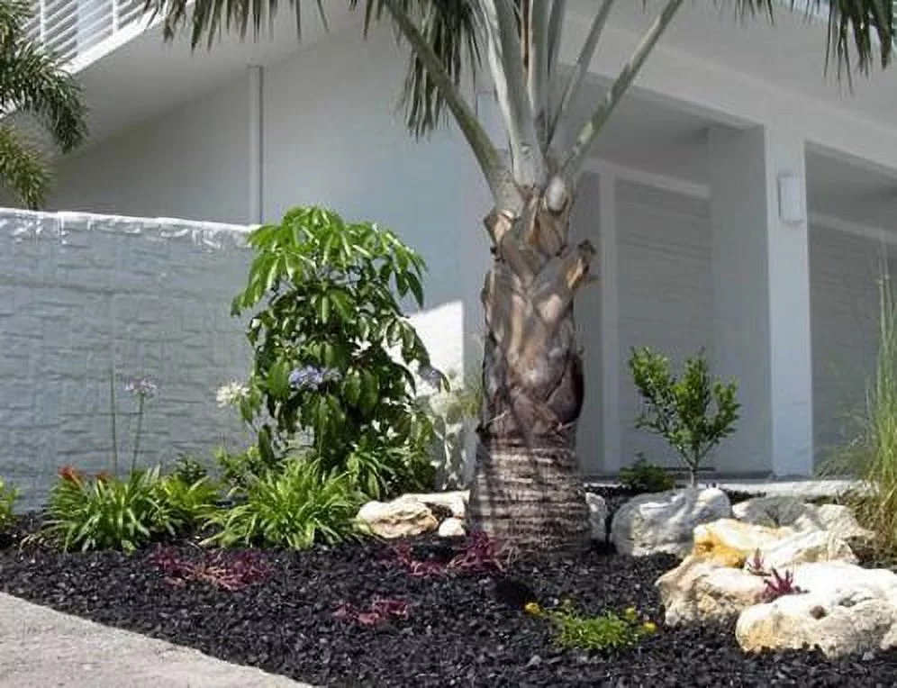 Dragon Glass 25 lb Black Landscape & Fire Pit Glass, 1/2