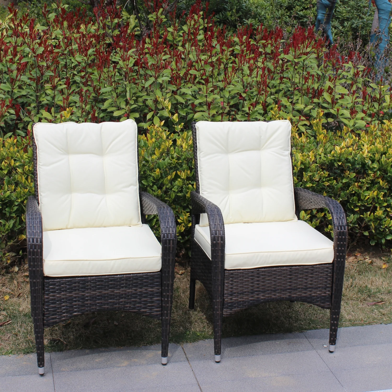 Beige Cushion 2-Piece Liberatore Dining Chairs - Comfortable and Stylish Outdoor Patio Furniture for Relaxing Meals and Gatherings
