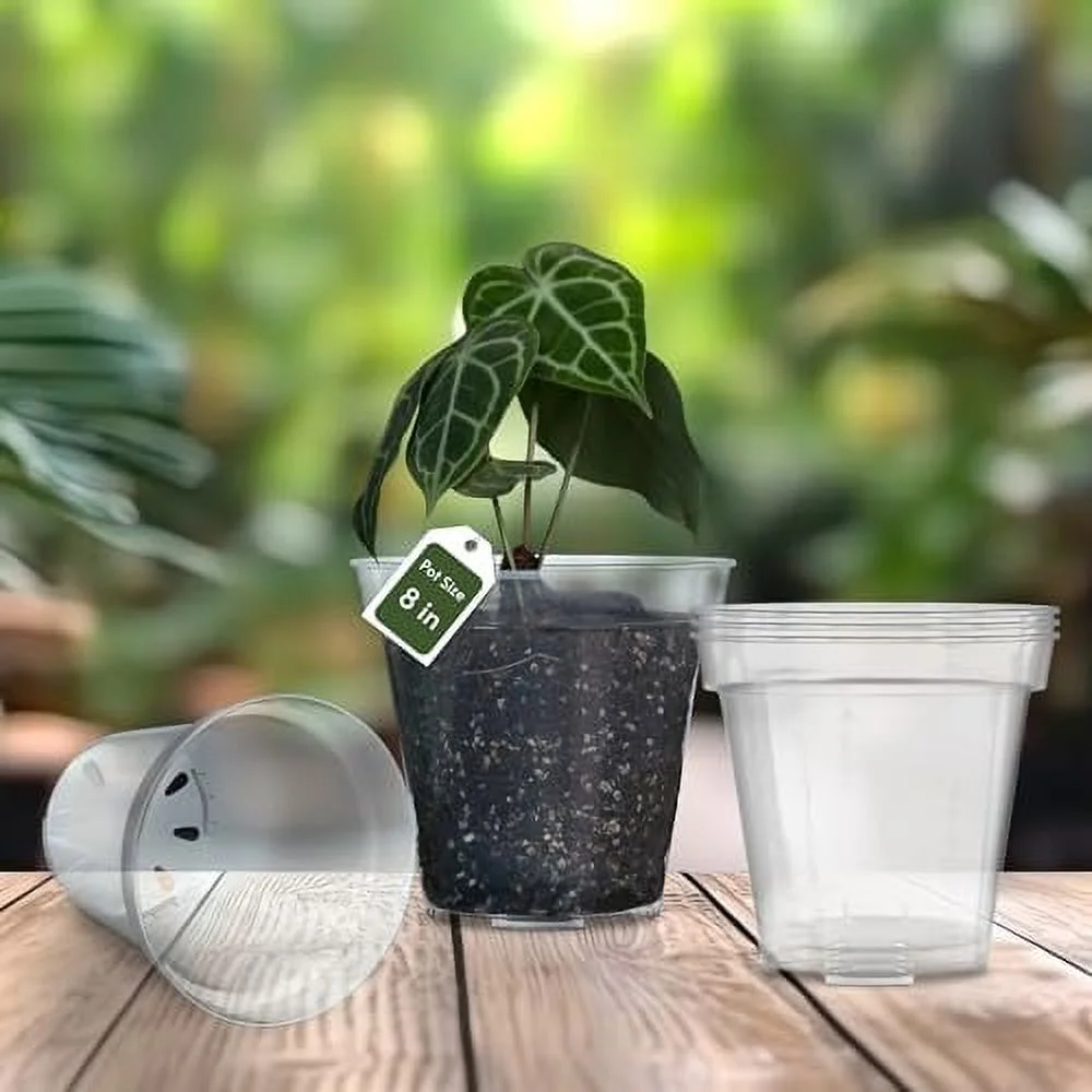 karenplantsplants™ 8