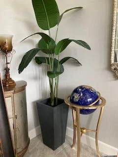 5' Bird of Paradise Plant in Plastic Pot Green (Pack of 2)