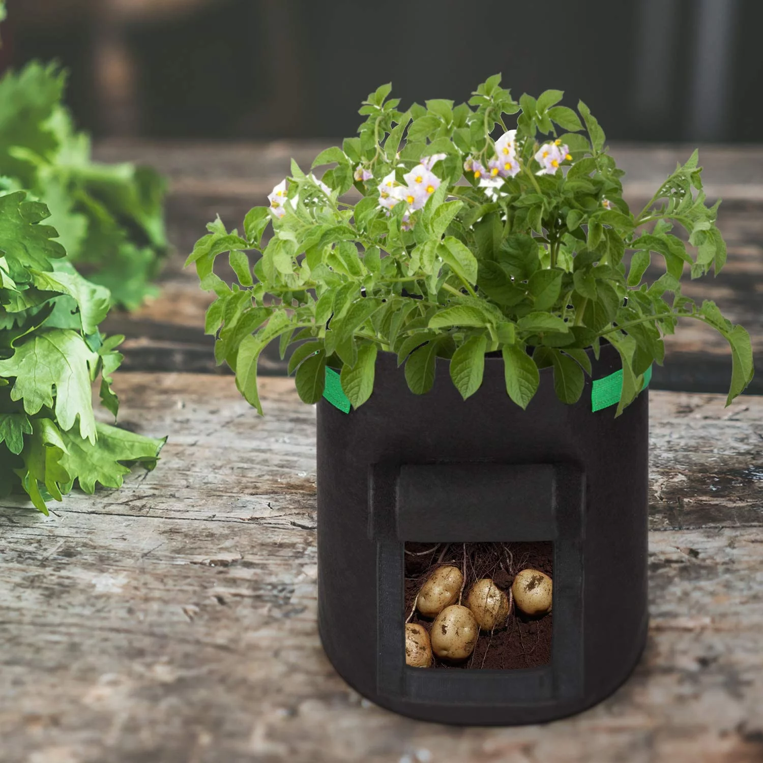 GROWNEER 6 Packs 7 Gallons Grow Bags Potato Planter Bag with Access Flap and Handles, Planting Grow Bags Fabric Pots for Grow Vegetables, Potato, Carrot, Onion, with 15 Pcs Plant Labels