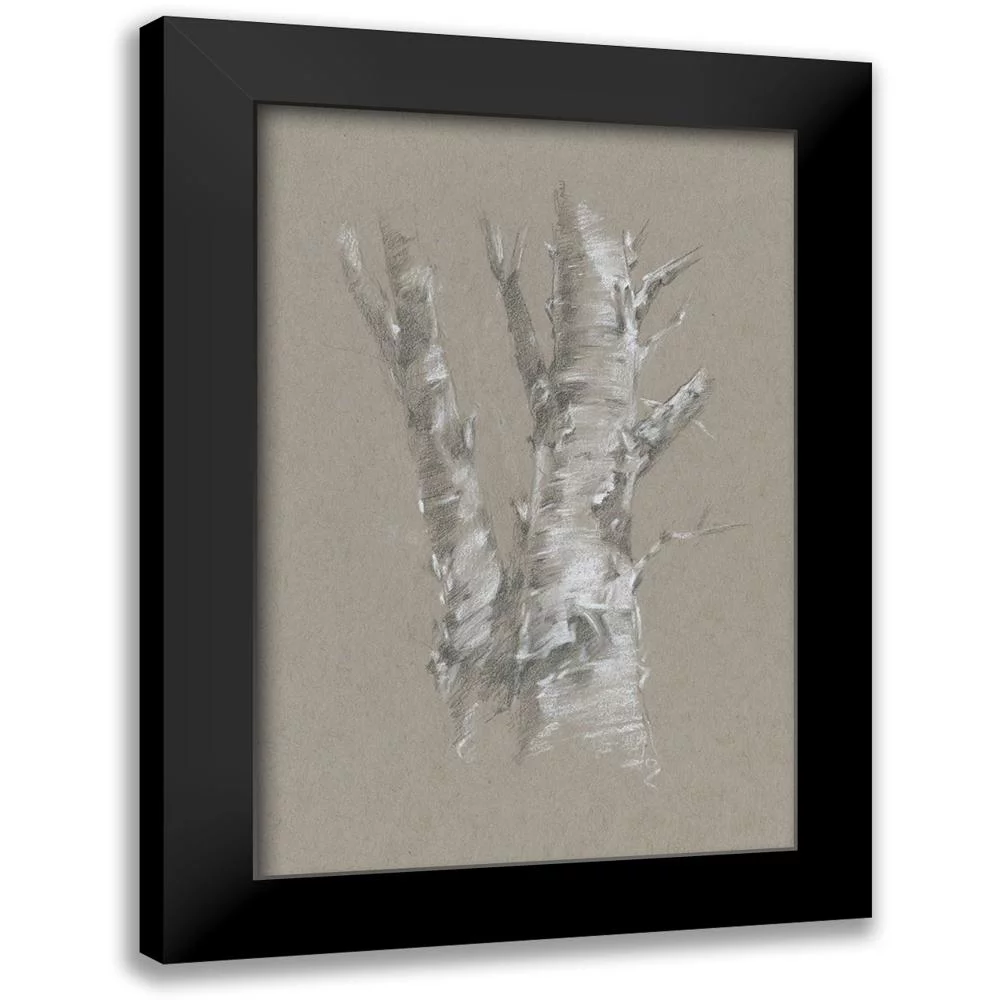 Harper, Ethan 11x14 Black Modern Framed Museum Art Print Titled - Chalk Birch Study I