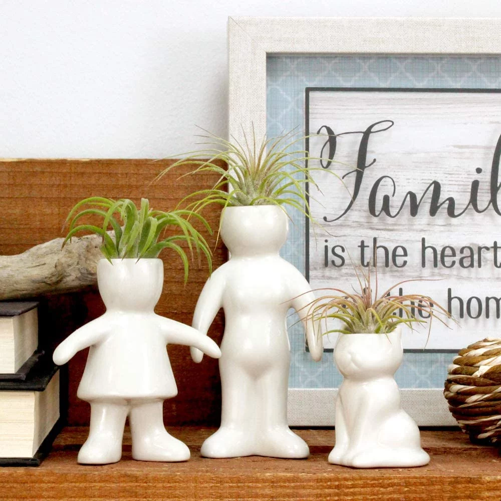 NW Wholesaler - White Ceramic 