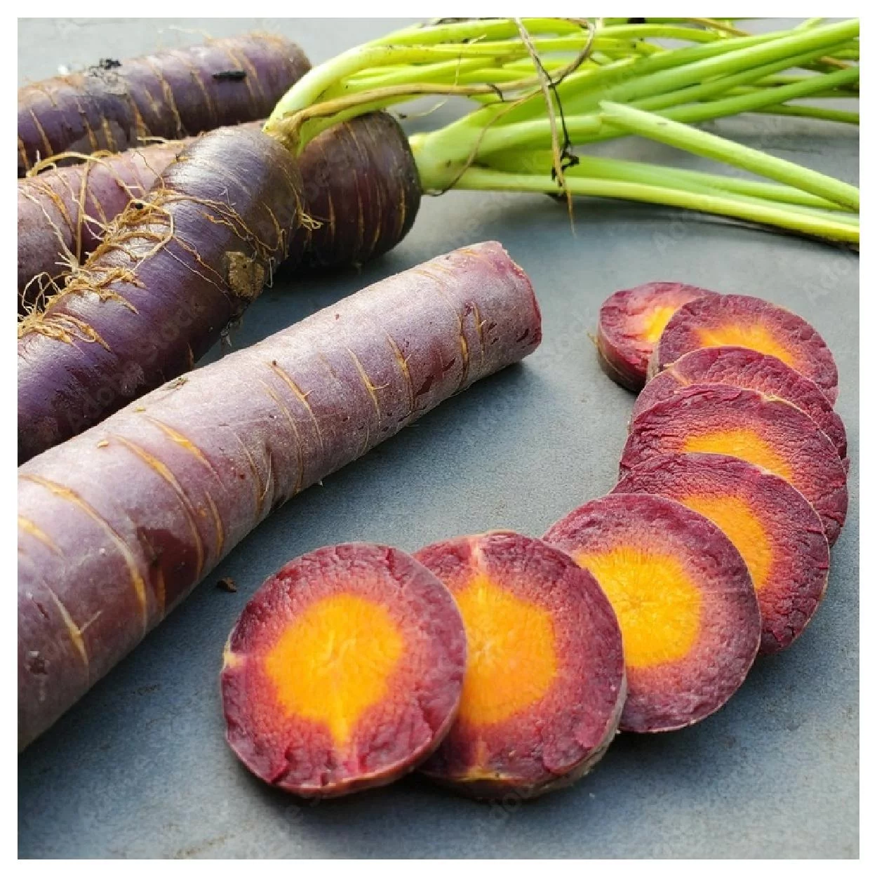 Everwilde Farms - 1000 Cosmic Purple Carrot Seeds - Gold Vault Jumbo Bulk Seed Packet