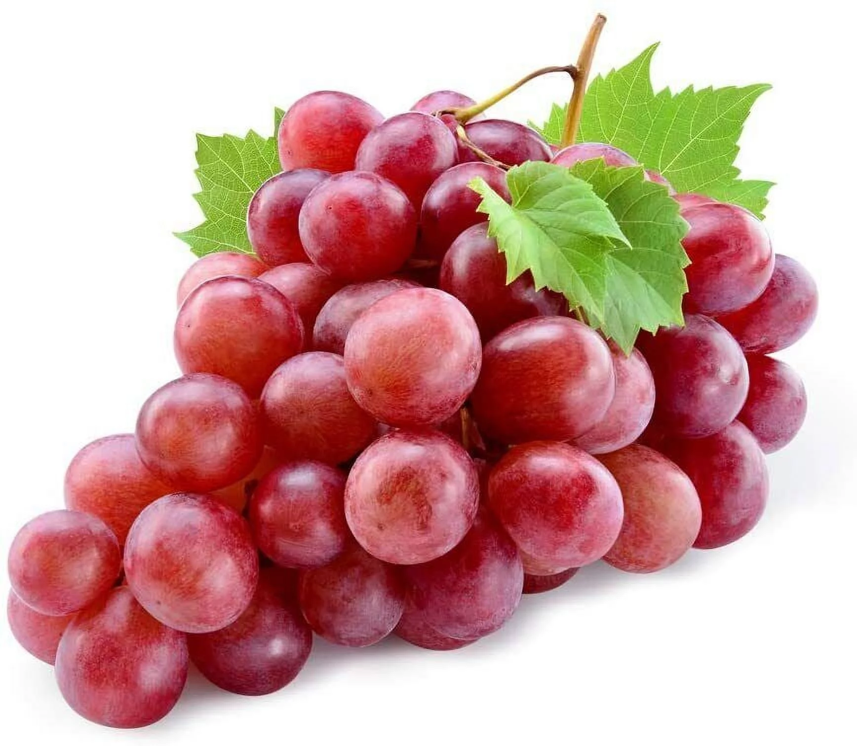 20 Red Concord Grape Seeds to Grow Grape Vines for Wine Making Fruit Dessert
