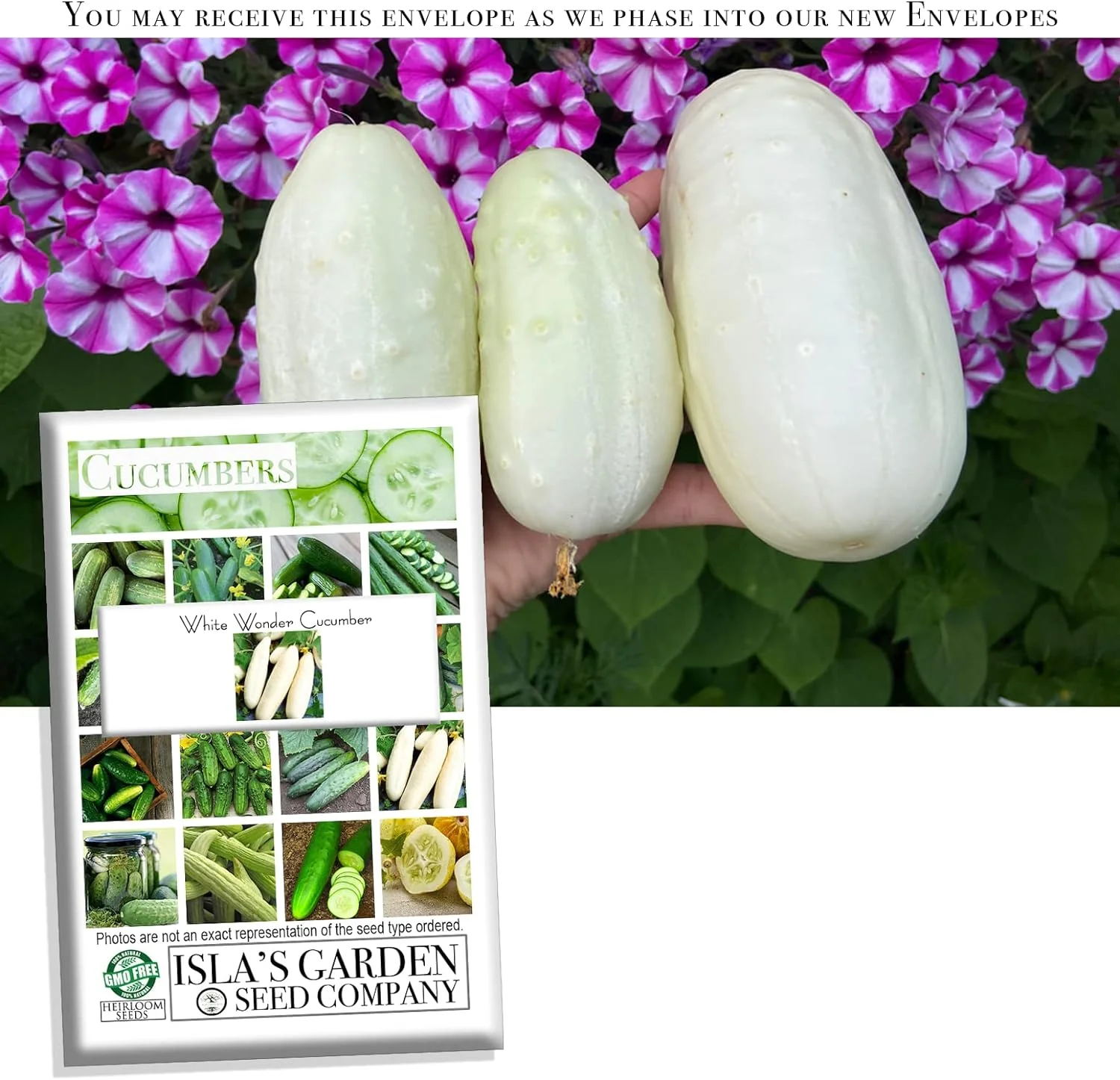 White Wonder Cucumber Seeds, 100 Heirloom Seeds Per Packet, Non GMO Seeds