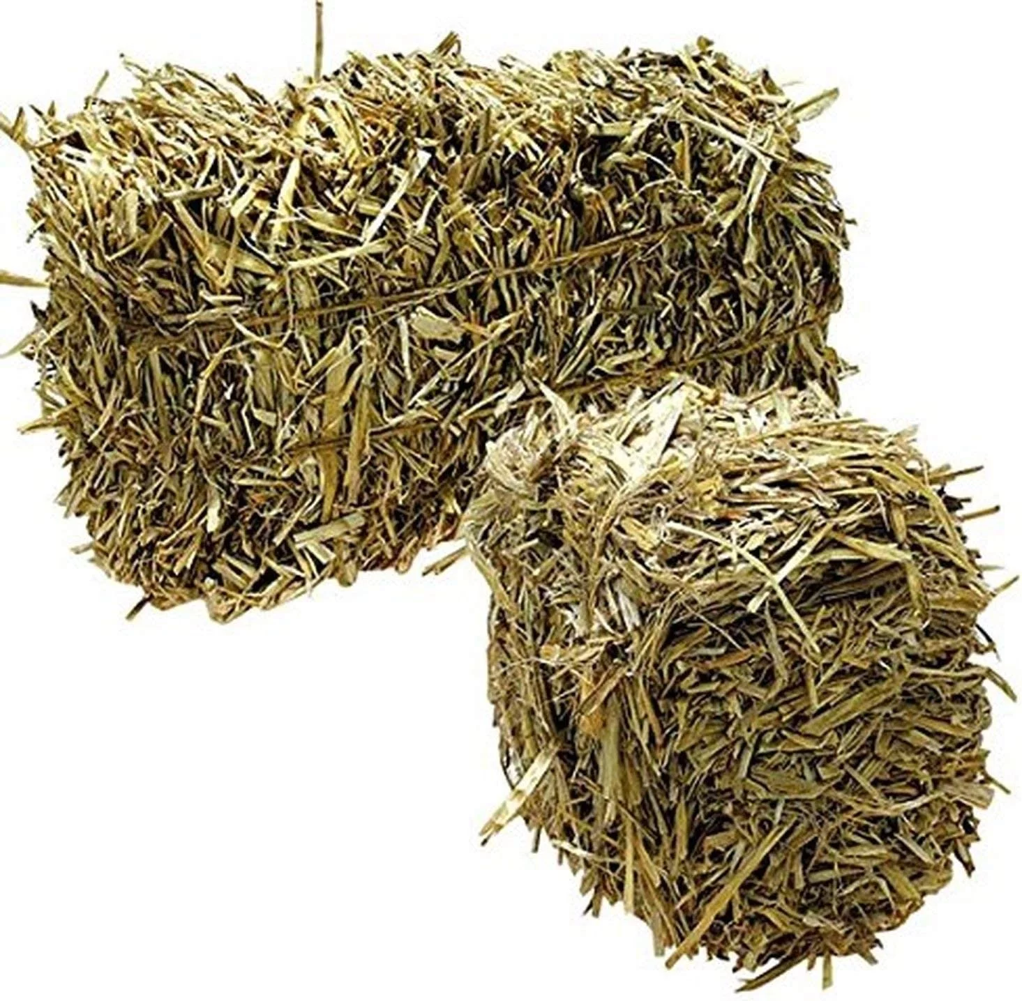 Green Vista Barley Straw Bales for Farm Pond Water Treatment - 8 to 10 Pounds - Treats 1/4 Acre Farm or Retention Pond for 6 Months! - Supports Water Balance - Safe for Koi, Fish and Plants