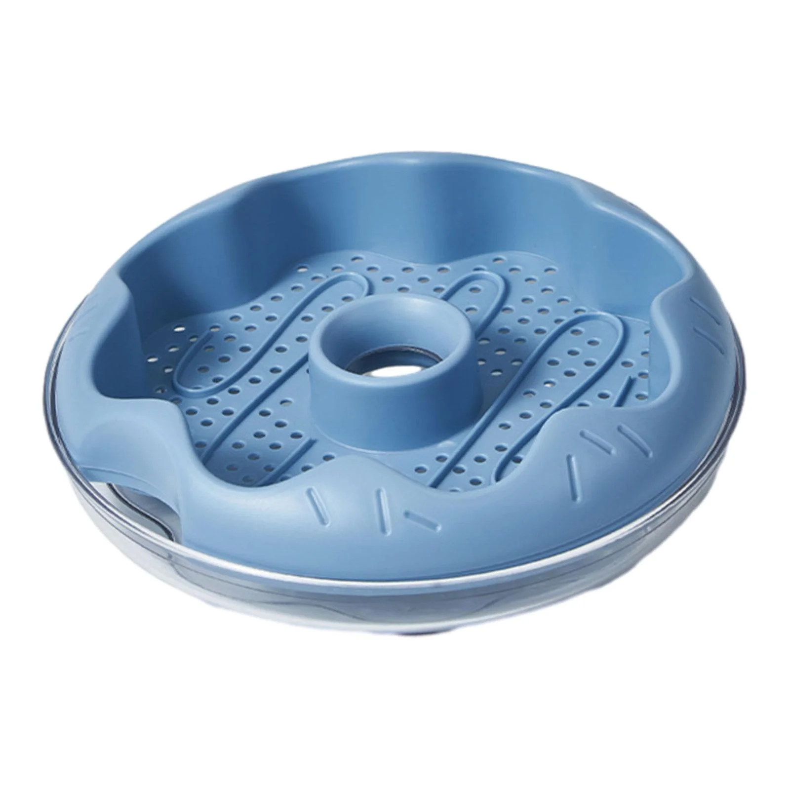 oshhnii Grass , Planting Tray, Germination Tray, Grass Sprouting Tray, Cat Snack Blue