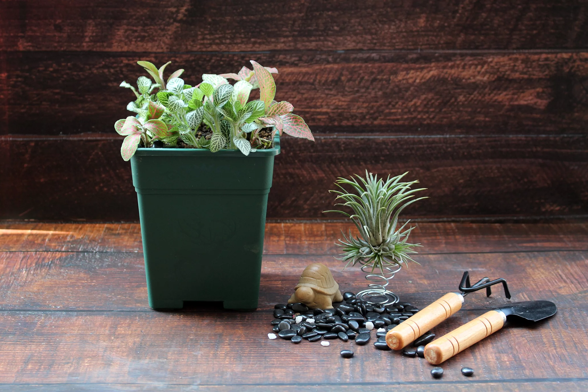 Cotta Planters 5 inch Square Nursery Pots 0.5 Gallon 10-Pack Green Plastic Planters Greenhouse supplies