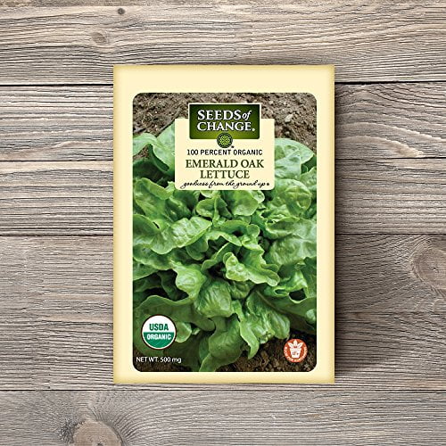 Seeds of Change 04994 Emerald Oak Lettuce, Green