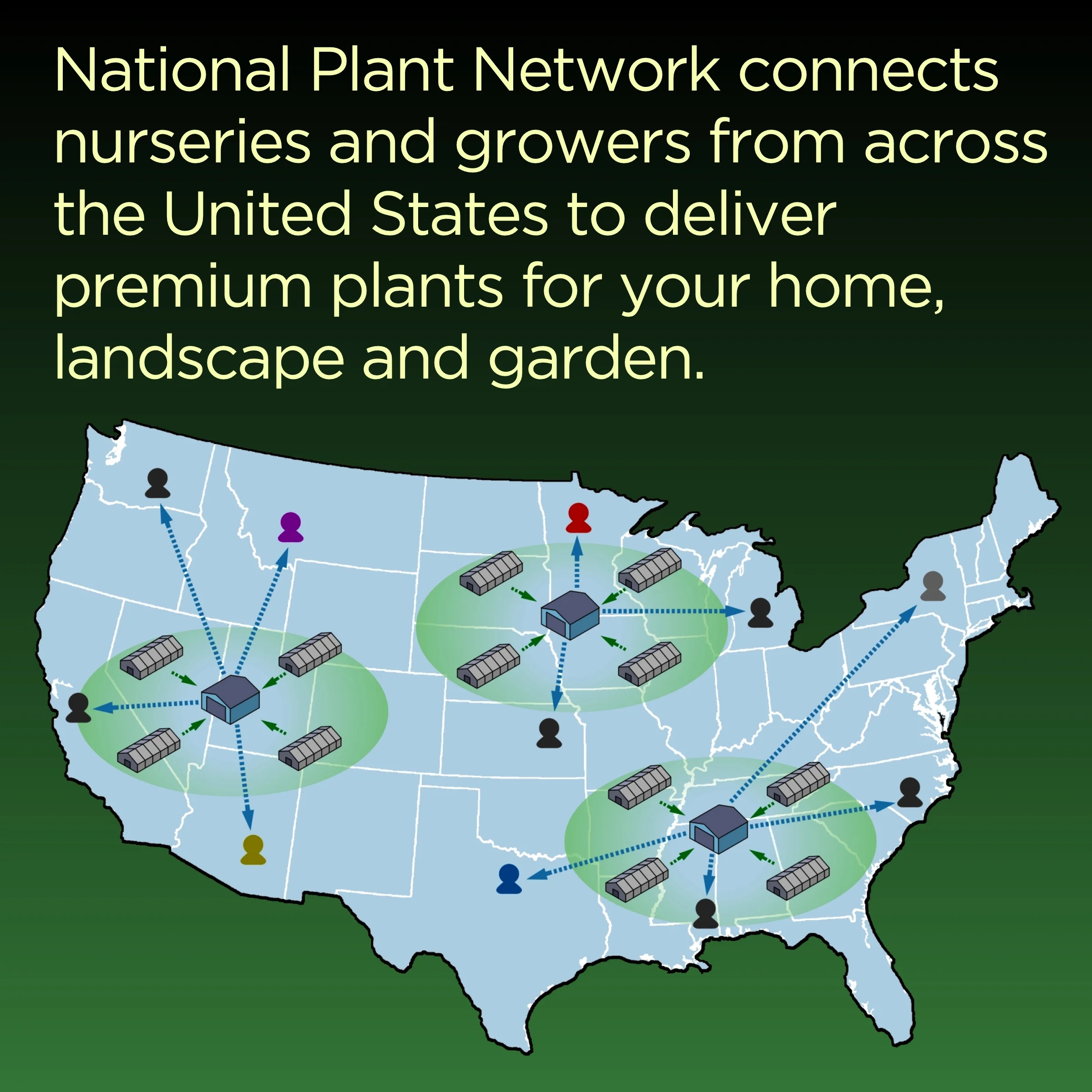 2.5 in. Impatiens Compact Lilac SunPatiens (3-Pack)