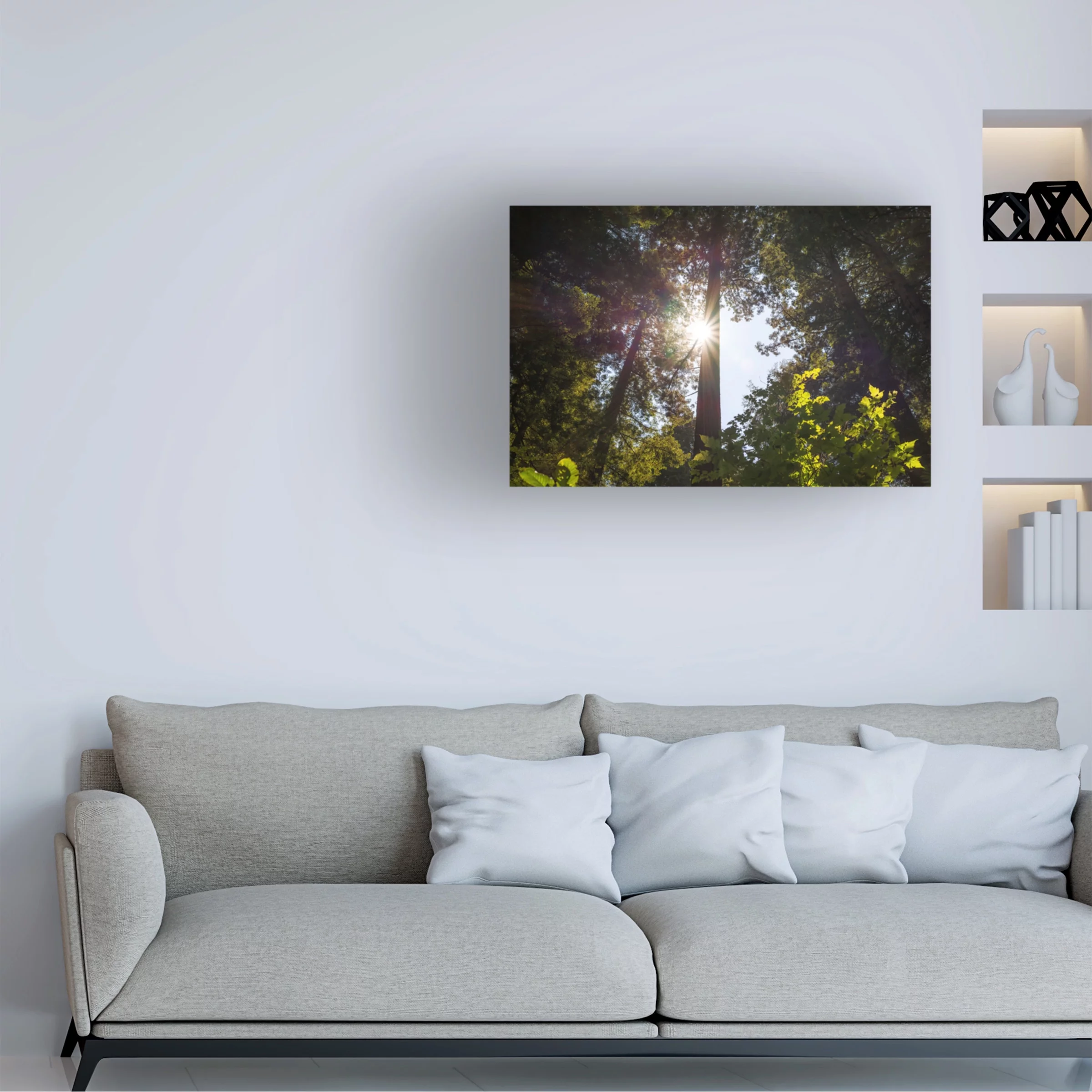 Trademark Fine Art Landscape Canvas Art ' Shine On Redwoods ' by Joseph S Giacalone
