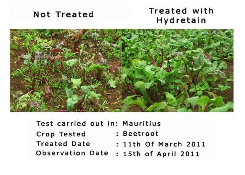 Hydretain HYDRT3212 Moisture Control Hose End,32 fl oz,Blue. Pack of 4