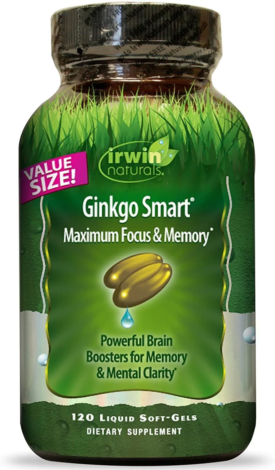 Irwin Naturals Ginkgo Smart Maximum Focus & Memory 120 Liquid Soft-Gels