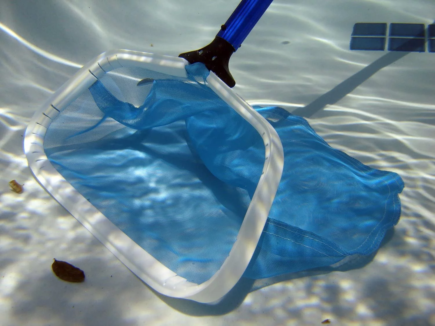 Purity Pool PLSTD Pro-Lite 18-Inch Professional Leaf Rake, Standard Model