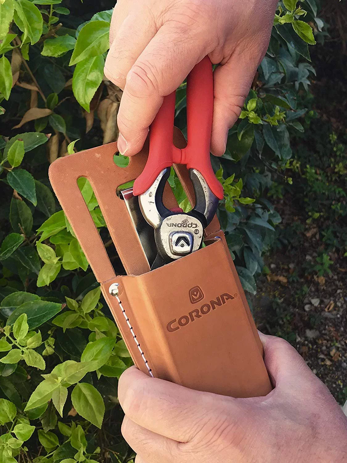 Corona AC 7220 Leather Pruner Scabbard Holster, 5-Inch