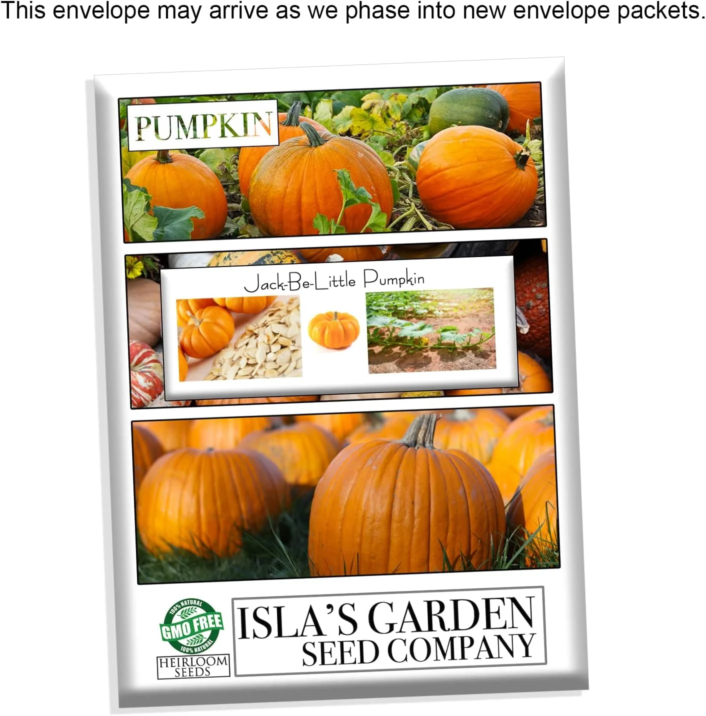 Jack Be Little Pumpkin Seeds, 10 Heirloom Seeds Per Packet, Non GMO Seeds, Isla's Garden Seeds