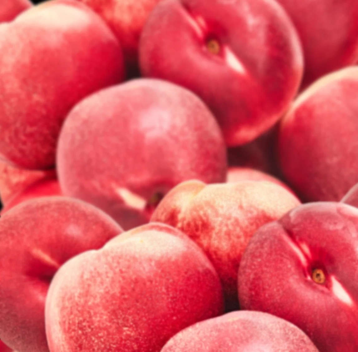 Fresh Yellow Nectarines, 2 lb Bag