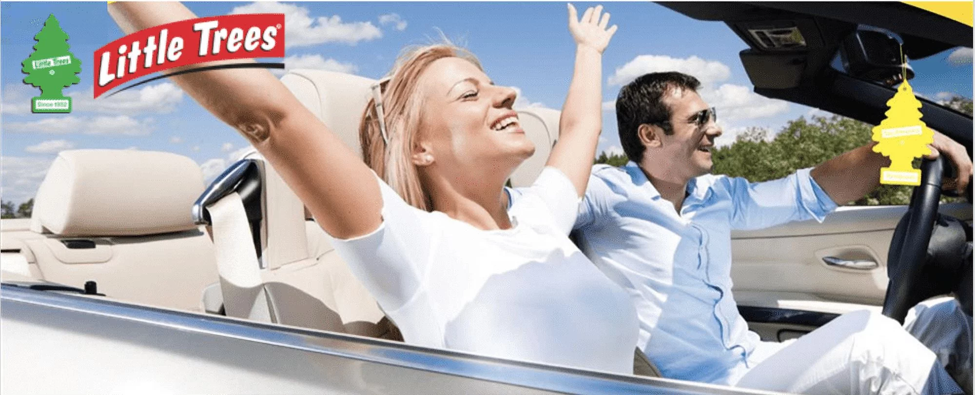 Wild Cherry Little Trees U1P-10311 MADE IN USA Pack of 72